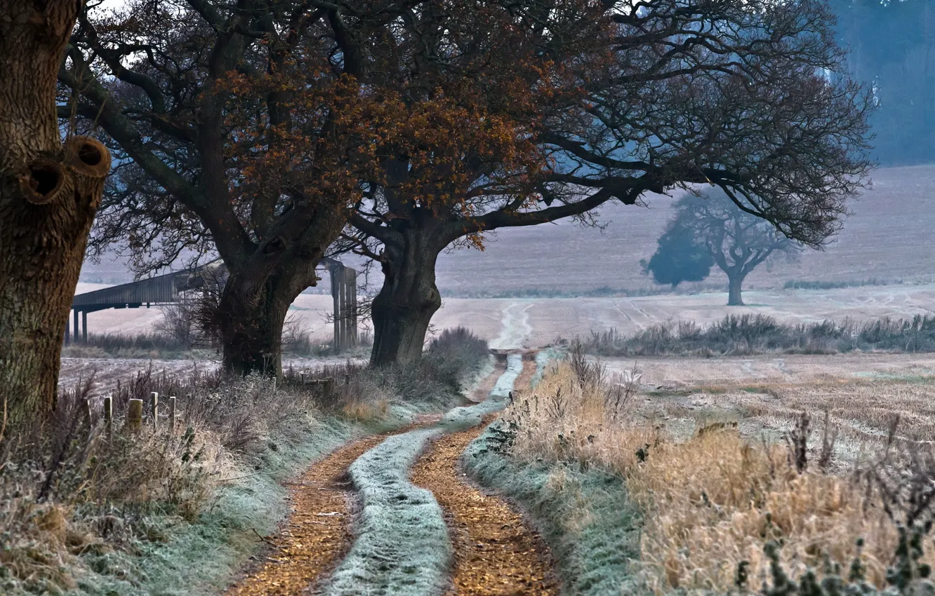 Photo wallpaper road, field, landscape