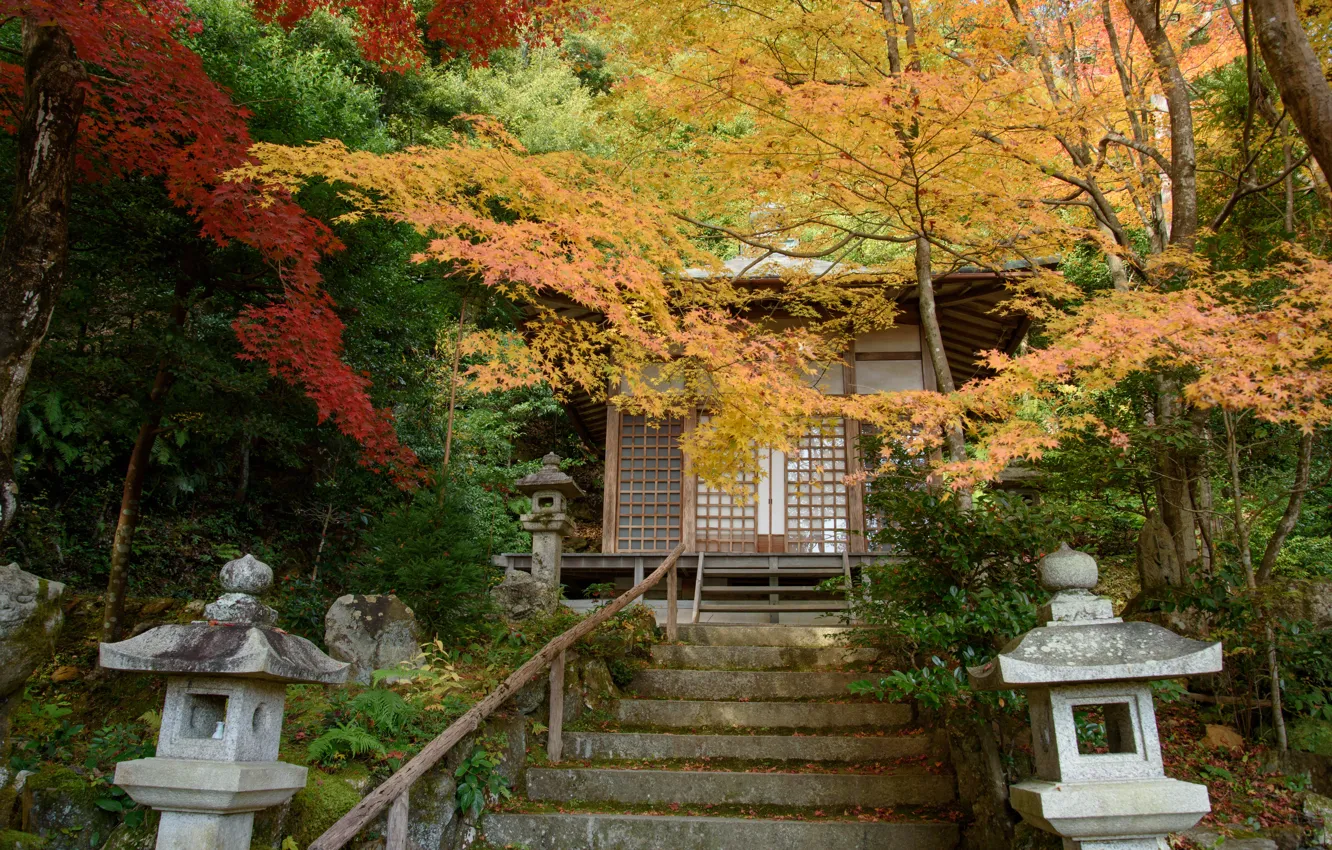 Photo wallpaper autumn, nature, Japan, ladder, temple, Gohodo