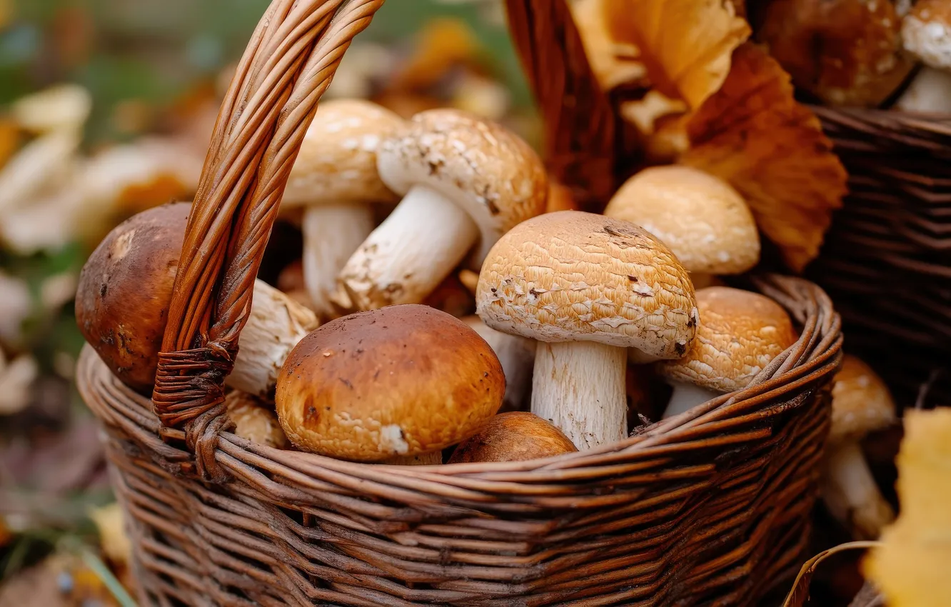 Photo wallpaper neural network, different, AI art, basket, mushrooms