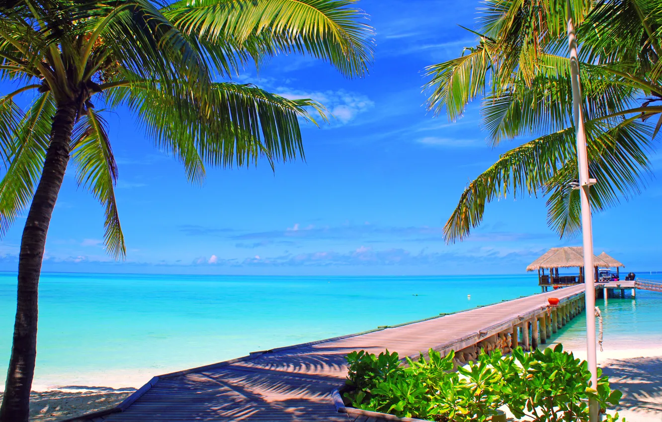 Photo wallpaper sea, the sky, clouds, palm trees, the ocean, island, horizon, the Maldives