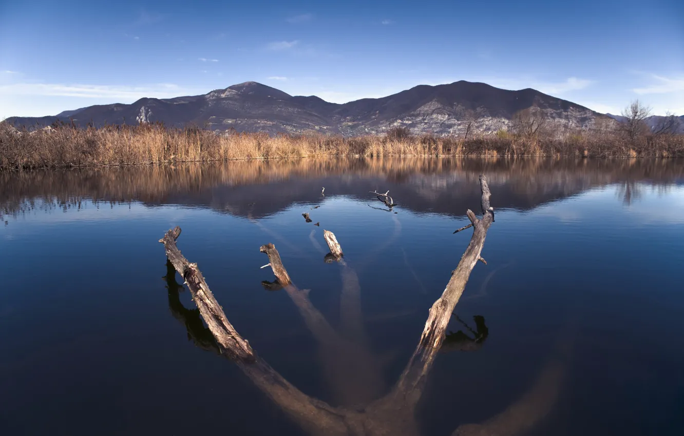 Photo wallpaper nature, lake, trees