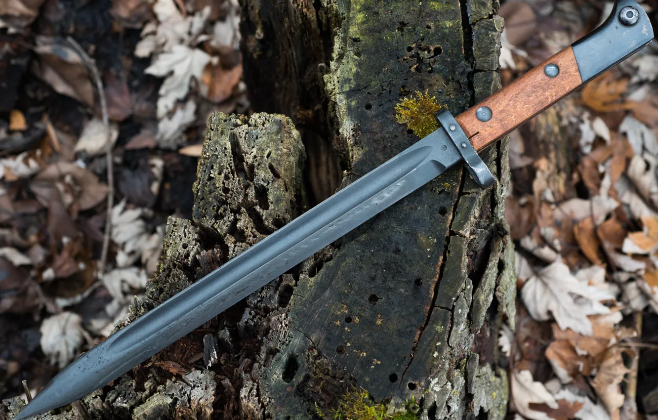 Photo wallpaper weapons, Czech Bayonet, VZ-24, bayonet knife