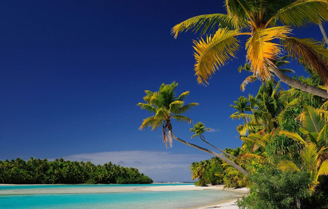 Photo wallpaper beach, Islands, tropics, palm trees, Laguna, Oceania, Cook Islands, Aitutaki atoll