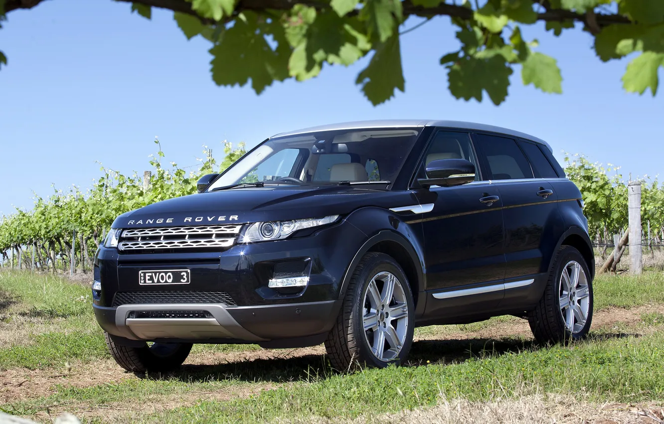 Photo wallpaper leaves, blue, Land Rover, Range Rover, the bushes, the front, Evoque, crossover