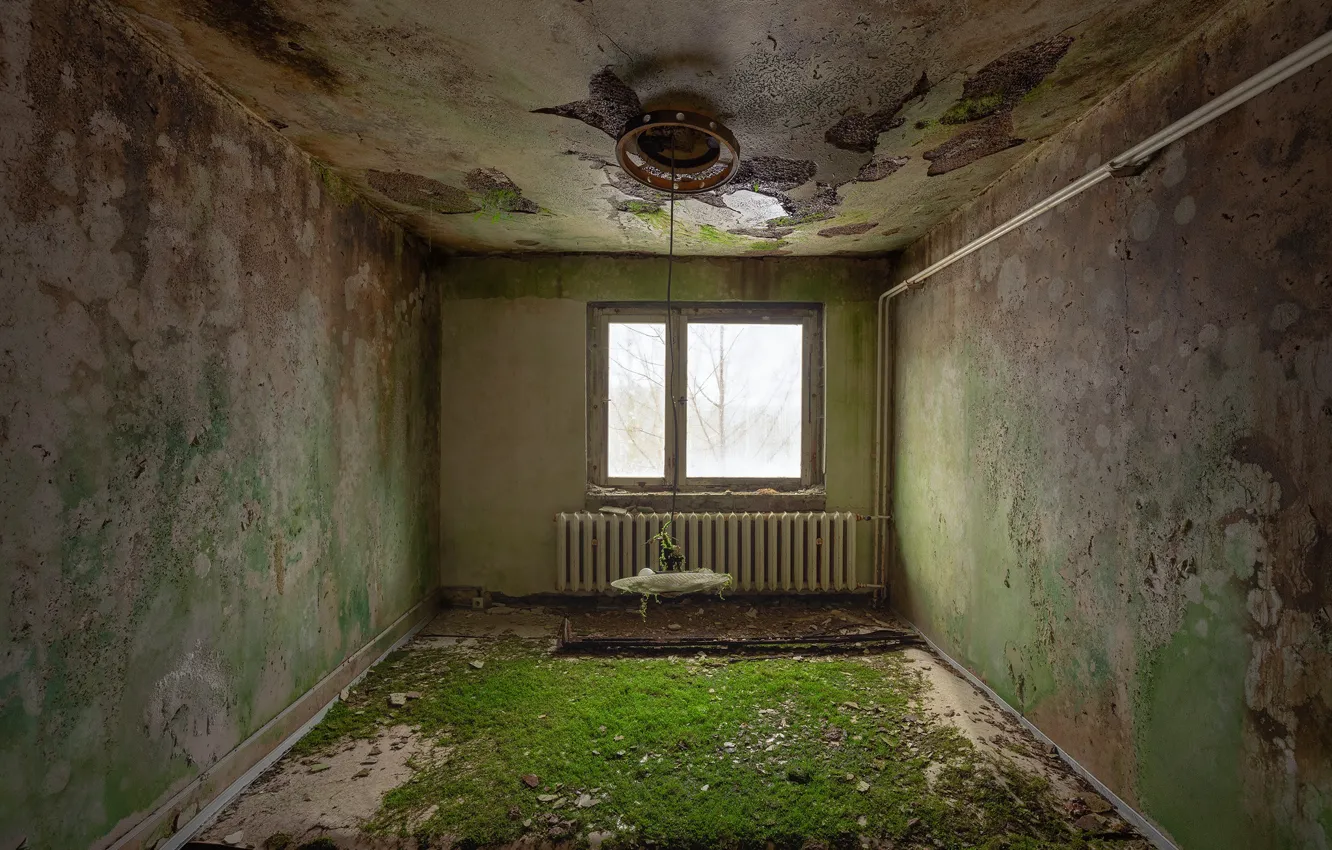 Photo wallpaper room, interior, window