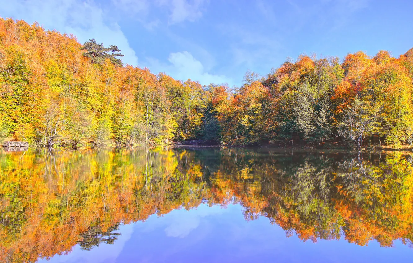 Photo wallpaper autumn, lake, reflection, fall