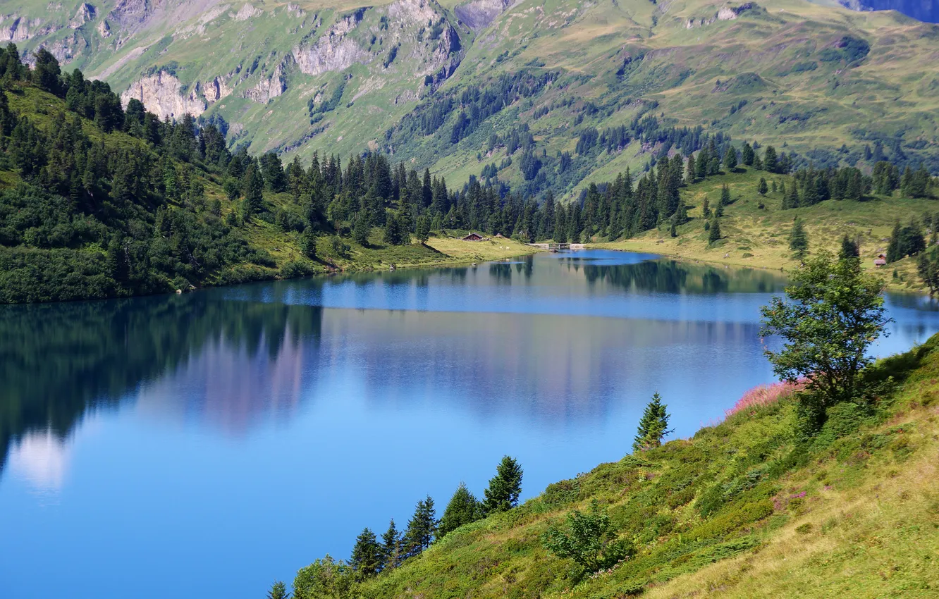 Photo wallpaper forest, mountains, lake, shore, slope, house