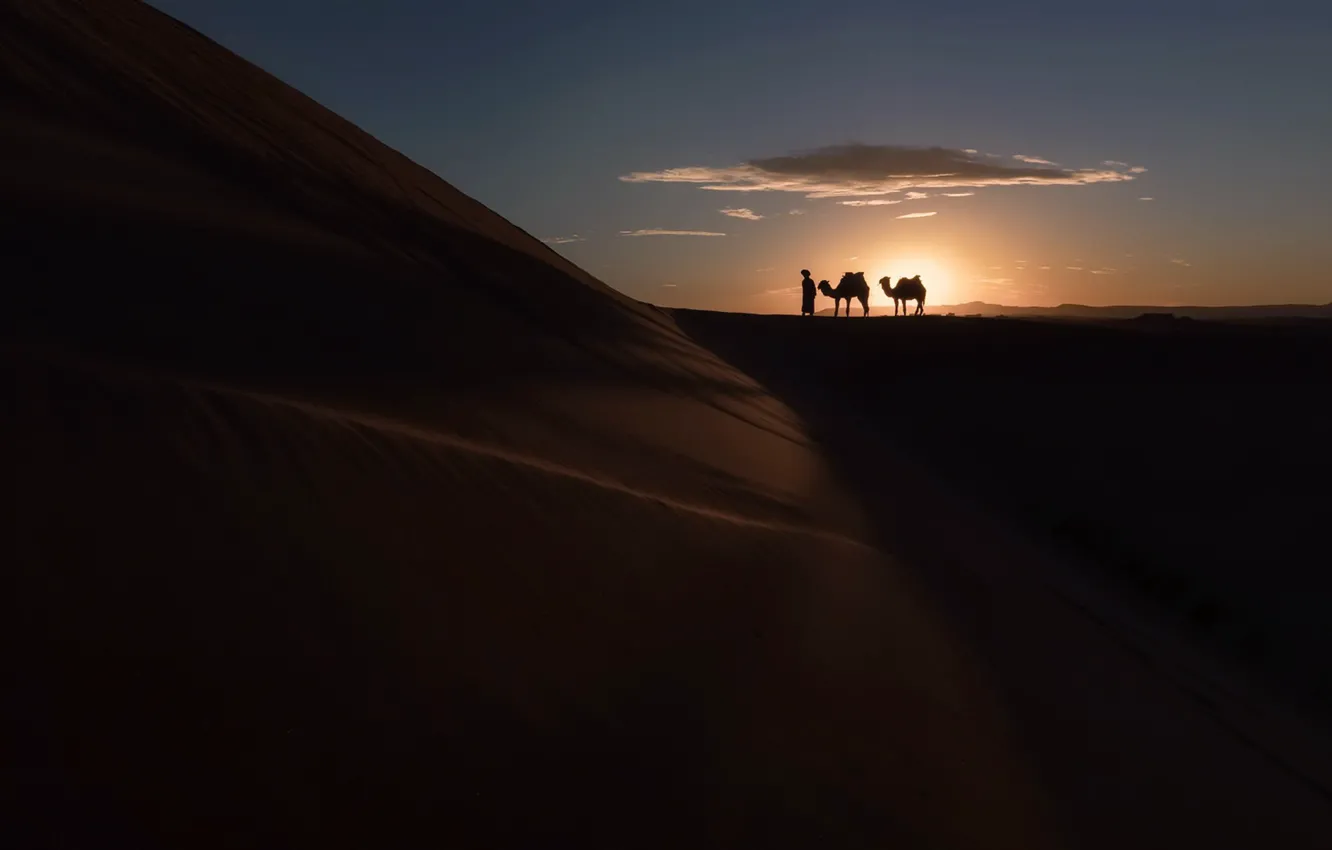 Photo wallpaper sunset, desert, silhouette