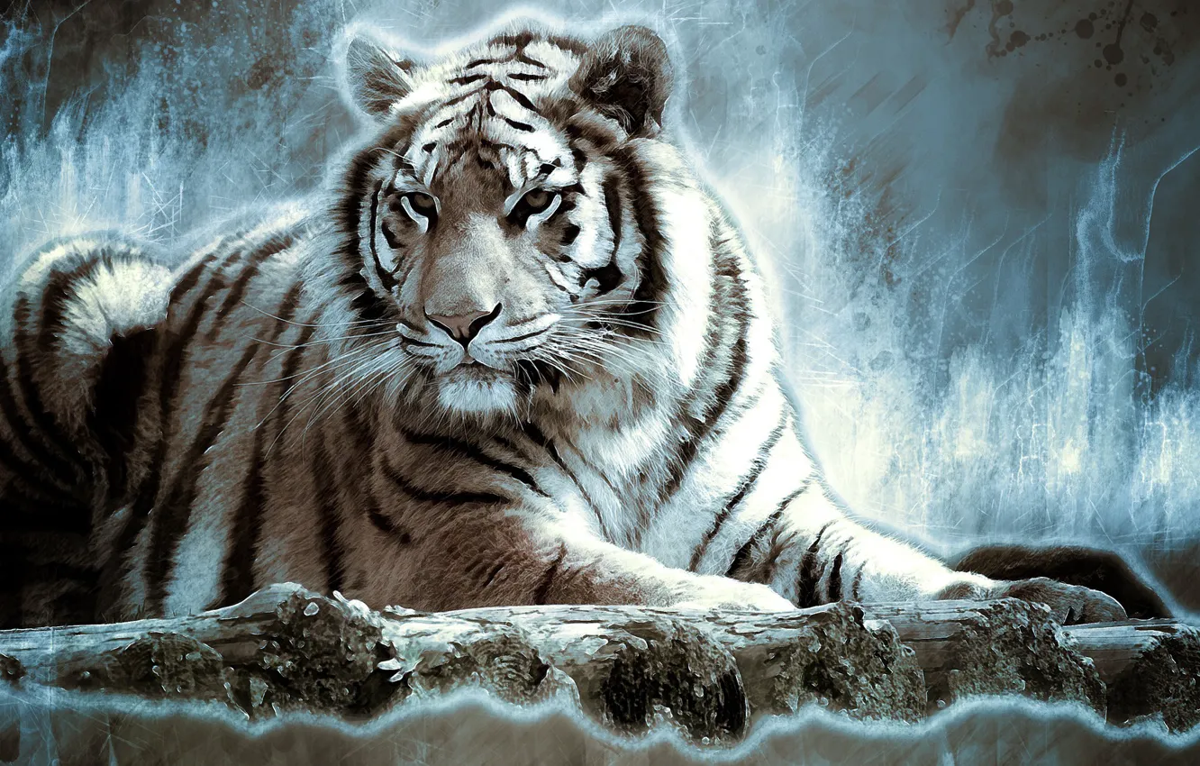 Photo wallpaper tiger, rendering, animal, figure