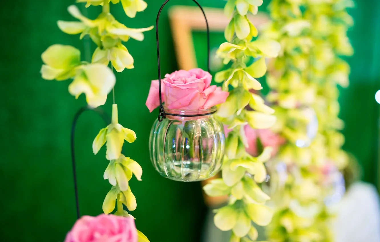 Photo wallpaper roses, jars, buds