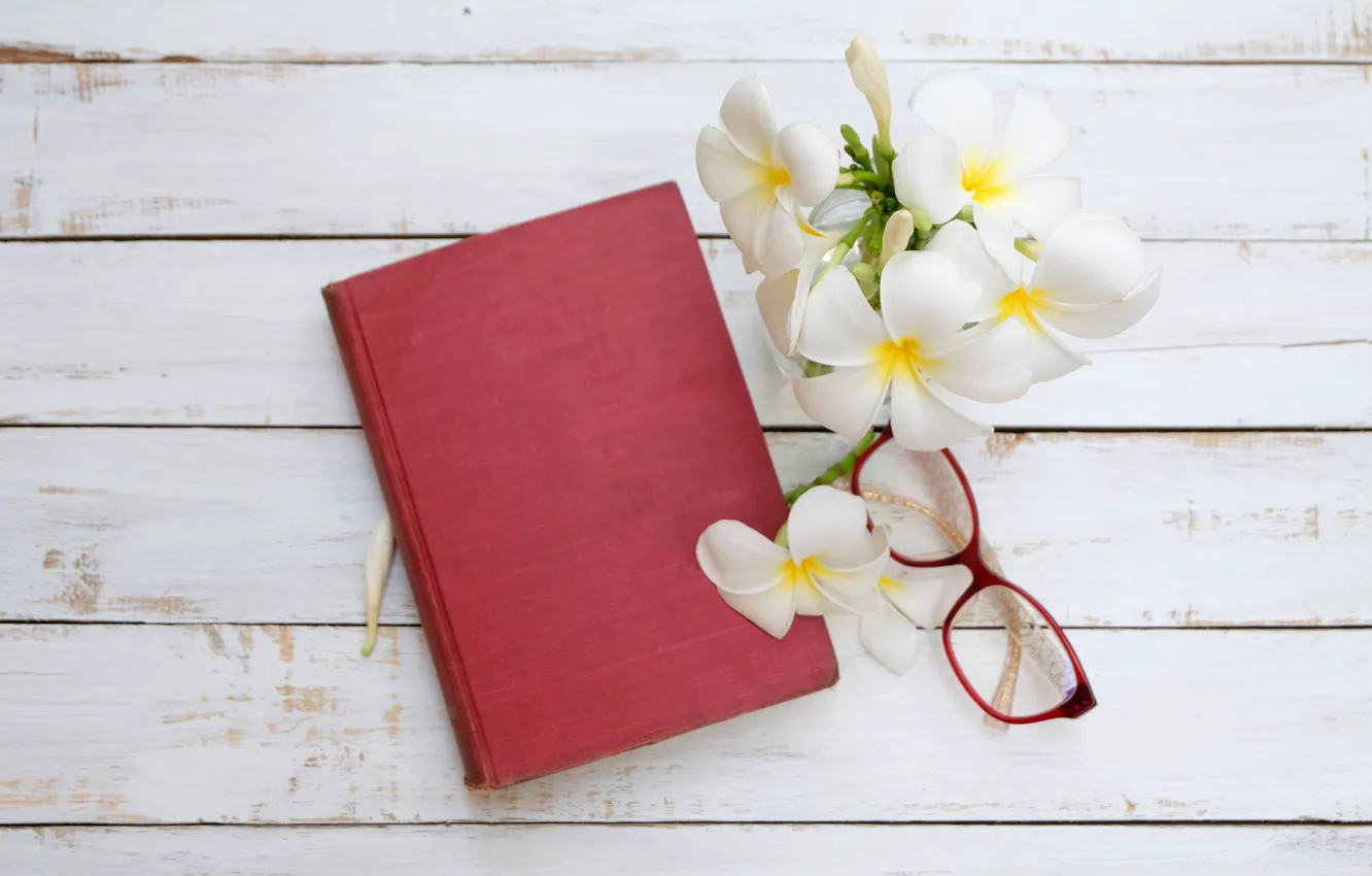 Photo wallpaper flowers, glasses, Notepad, plumeria