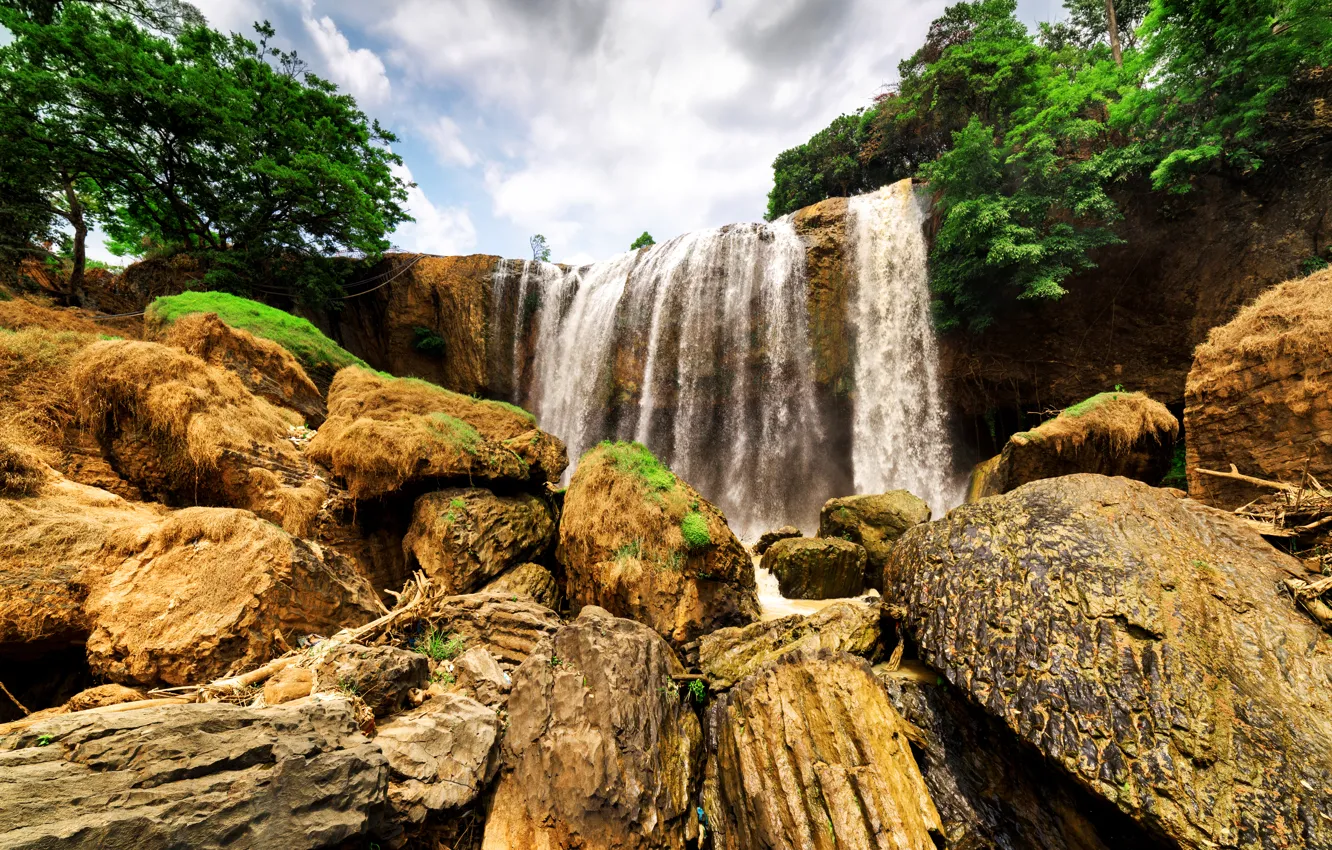 Photo wallpaper trees, rock, Park, stones, waterfall, moss, Vietnam, Dalat