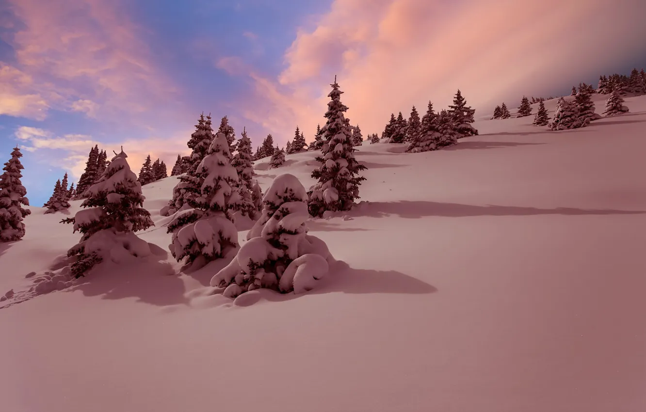 Photo wallpaper winter, snow, landscape, sunset
