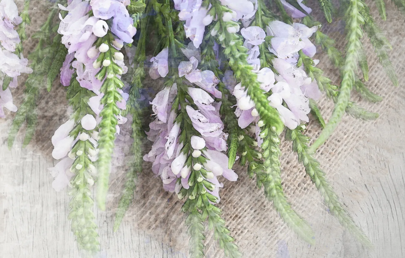 Photo wallpaper flowers, bouquet, flowers, bouquet