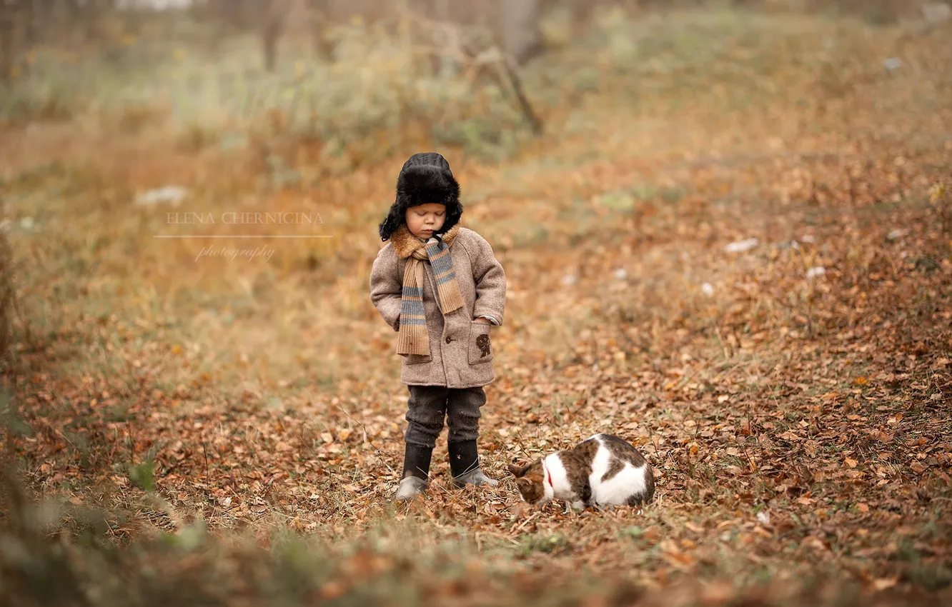 Photo wallpaper cat, glade, Elena Chernihiv, boy, cat