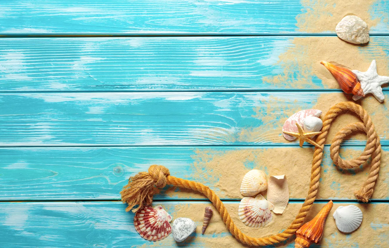 Photo wallpaper sand, beach, shell, beach, wood, sand, marine, still life