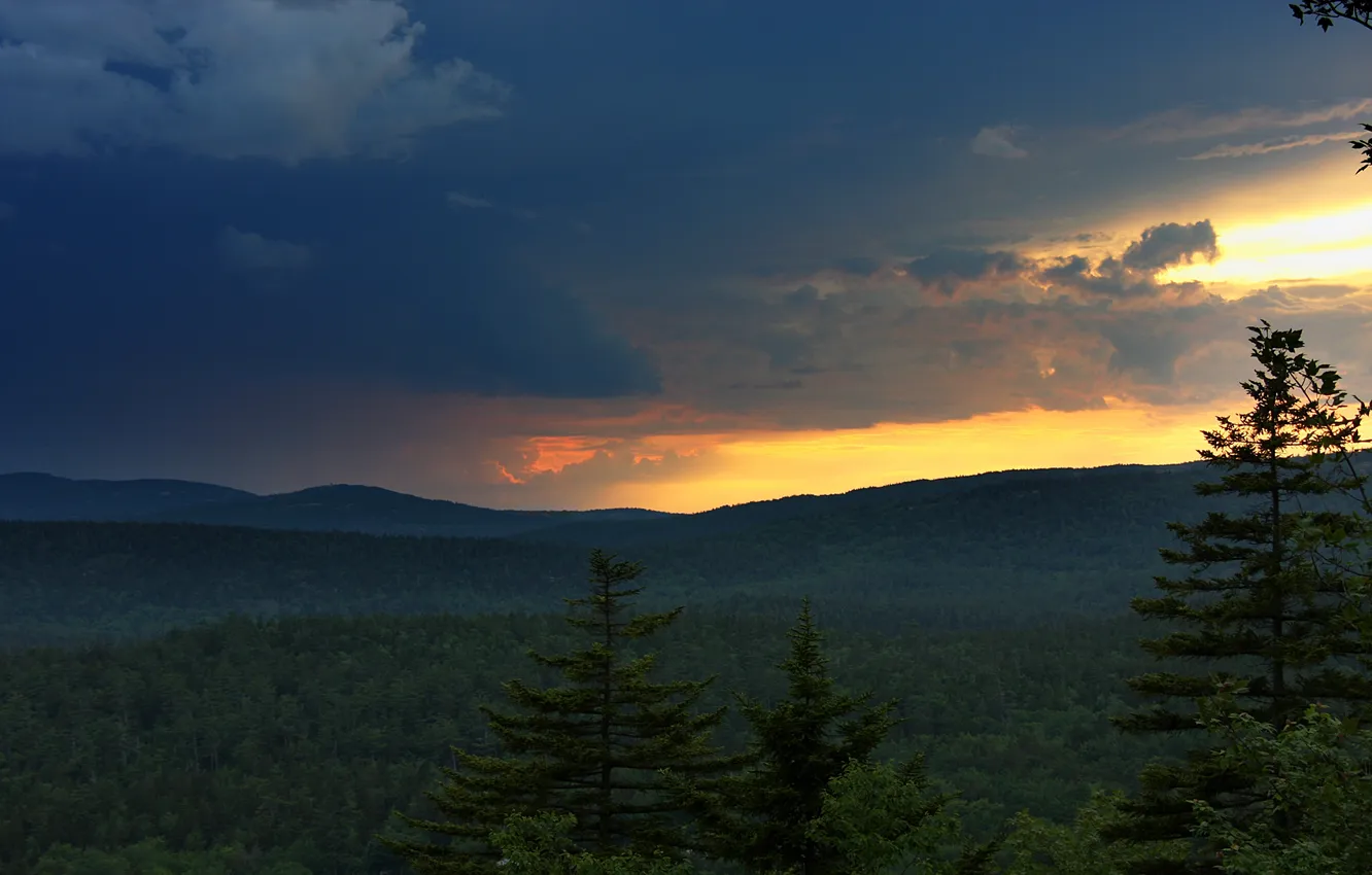 Photo wallpaper forest, the sky, trees, landscape, nature, Wallpaper, panorama, wallpaper