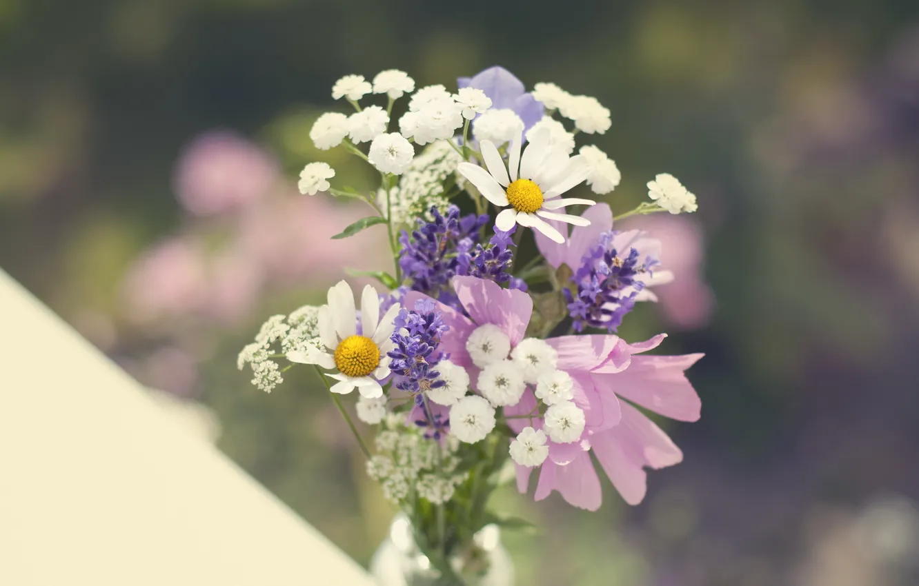 Photo wallpaper chamomile, bouquet, wildflowers