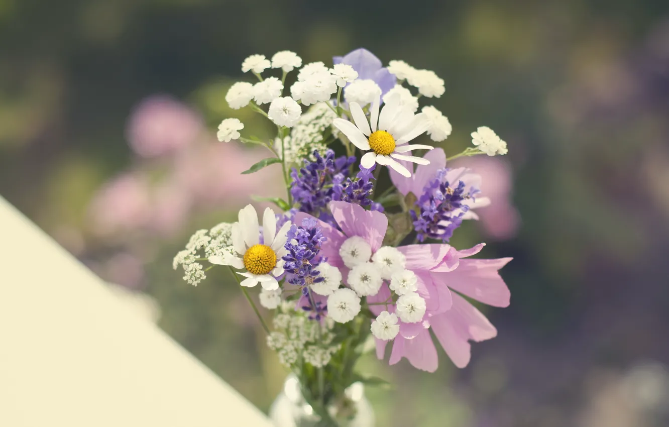 Photo wallpaper bouquet, Daisy, wildflowers