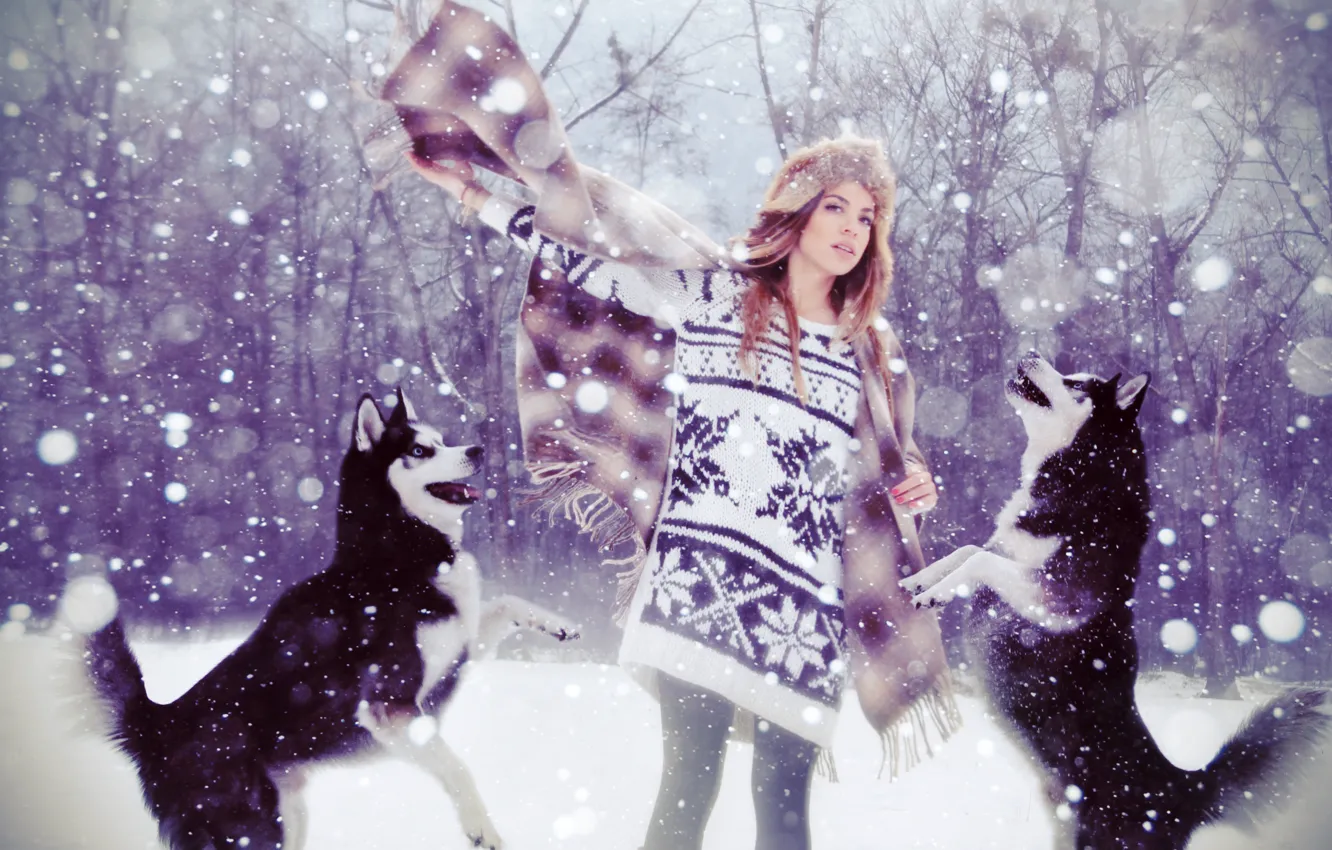 Photo wallpaper forest, dogs, girl, snow, hat, likes, sweater