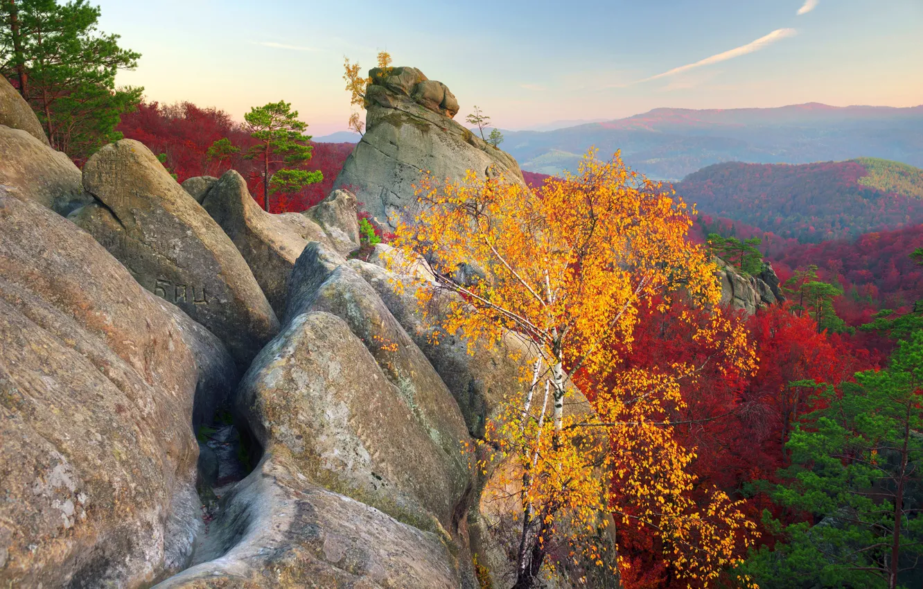 Photo wallpaper autumn, forest, trees, mountains, nature, stones, rocks, beauty