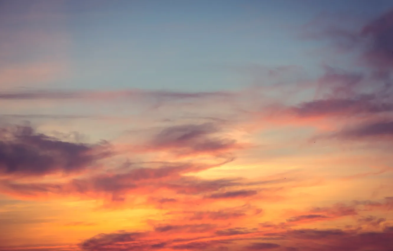 Photo wallpaper the sky, clouds, sunset, background, colorful, pink, sky, sunset