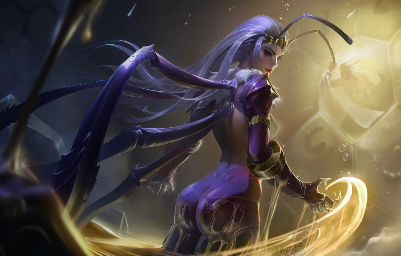 Photo wallpaper girl, hair, honey, insect, armor, ass, blue eyes, uterus