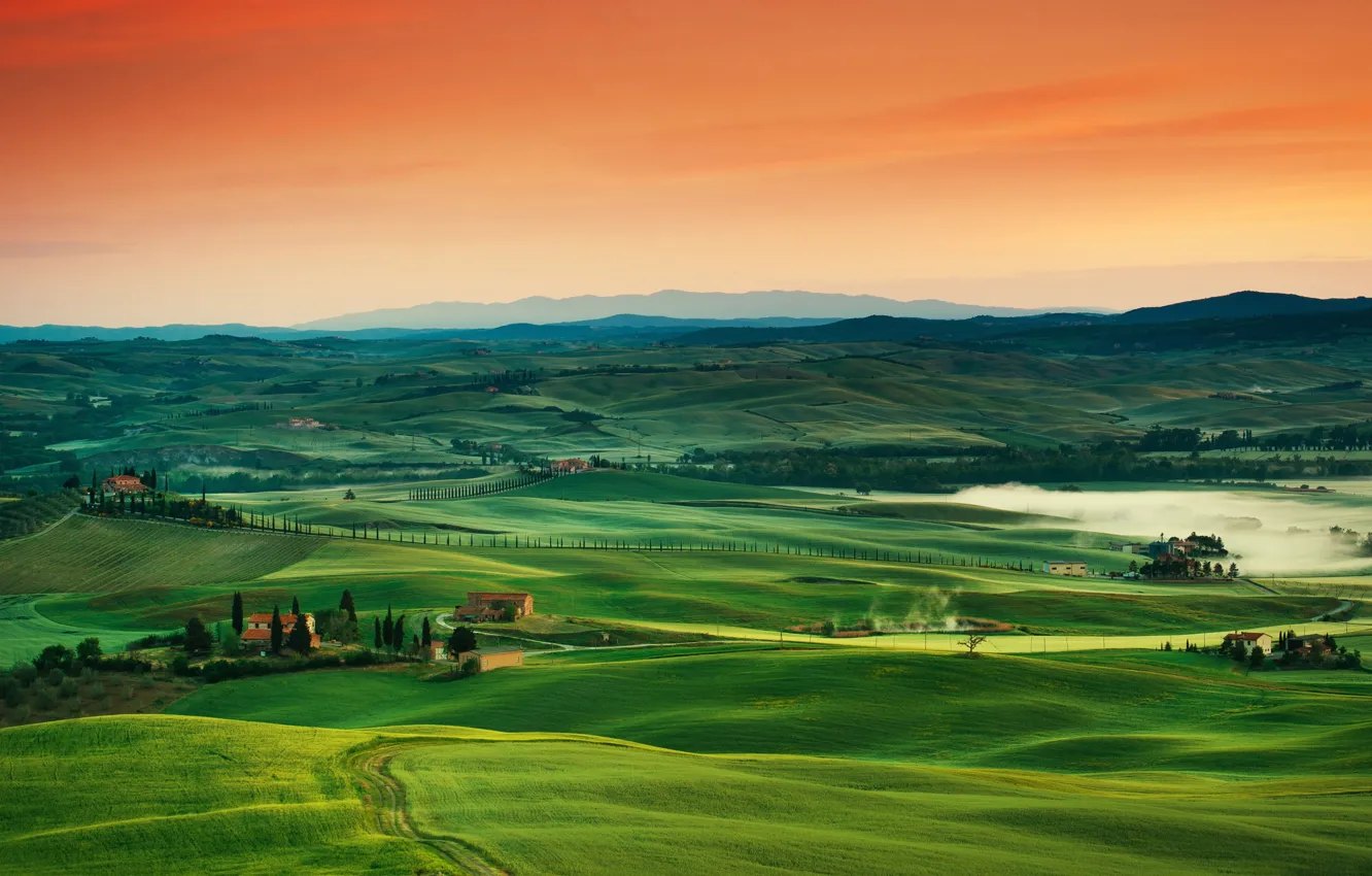 Photo wallpaper field, hills, Italy, Tuscany