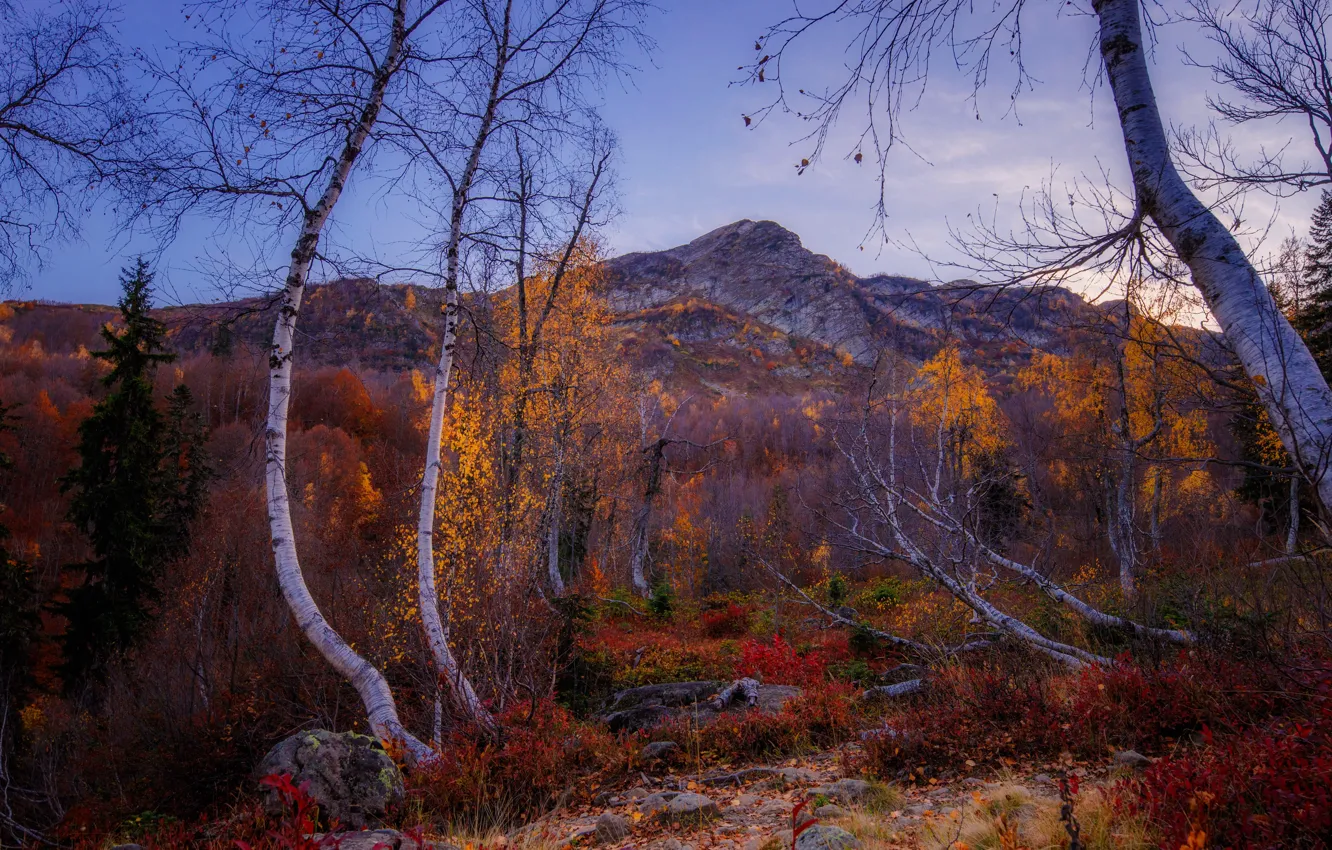 Photo wallpaper autumn, trees, landscape, mountains, nature