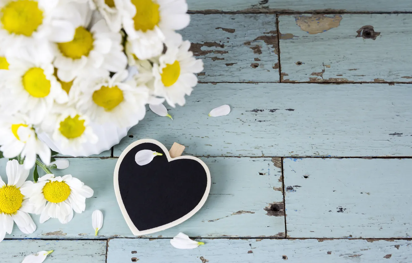 Photo wallpaper flowers, heart, chamomile, love, heart, wood, flowers, camomile