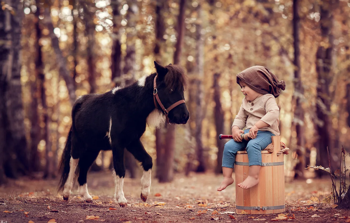 Photo wallpaper autumn, forest, trees, nature, smile, animal, boy, baby