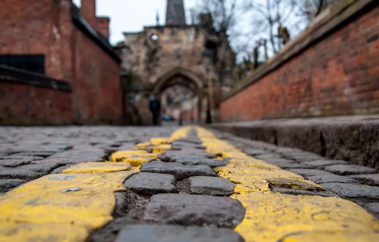 Photo wallpaper macro, the city, street