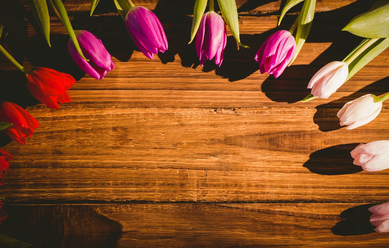 Photo wallpaper flowers, tulips, buds, flowers, tulips, wooden background, buds, wooden background
