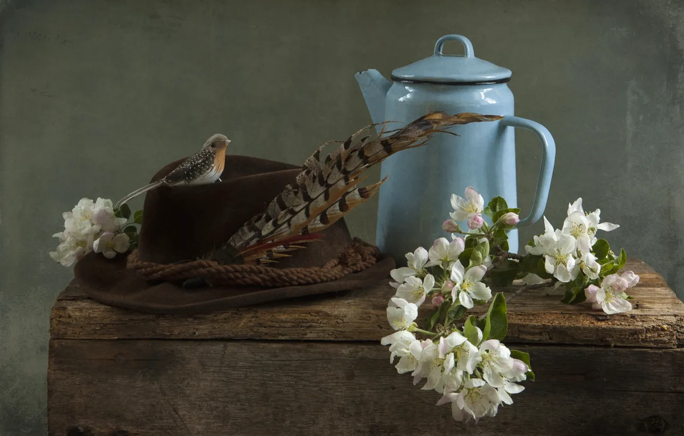 Photo wallpaper hat, feathers, kettle, bird, still life, Apple