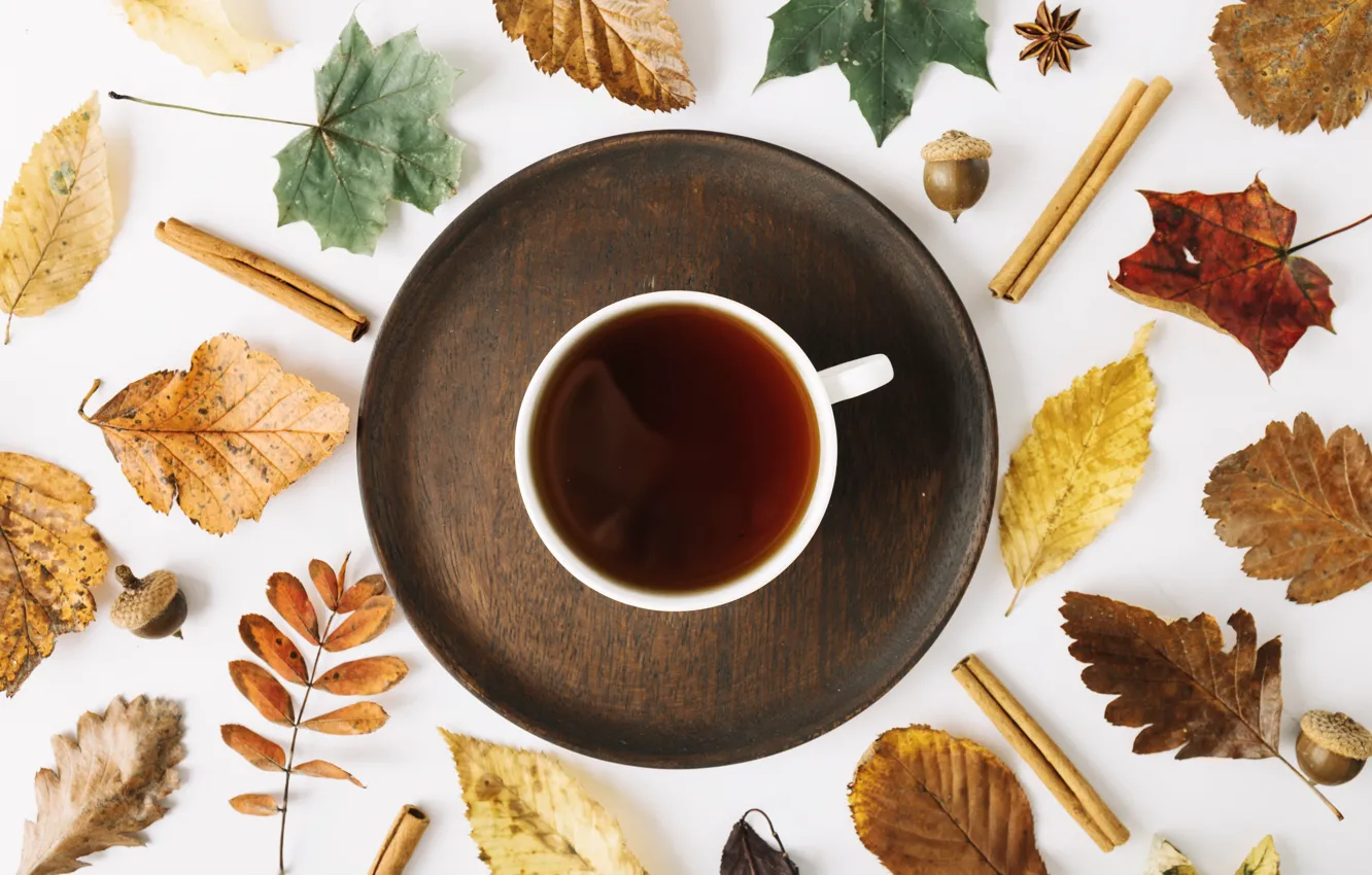 Photo wallpaper autumn, leaves, trees, background, coffee, colorful, Cup, wood