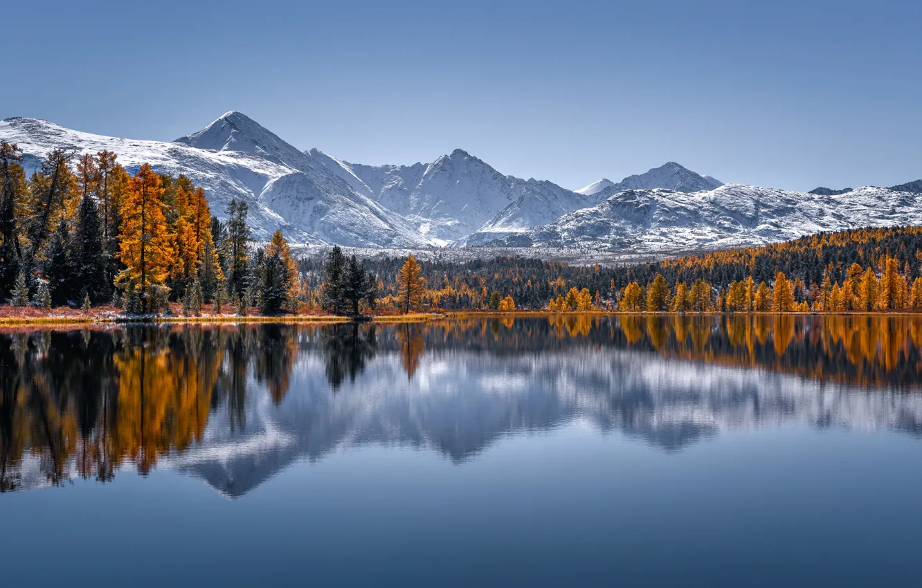 Photo wallpaper autumn, forest, trees, mountains, lake, reflection, Russia, The Altai Mountains