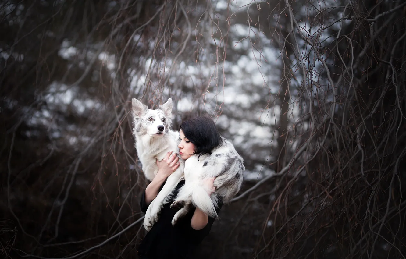 Photo wallpaper girl, background, dog