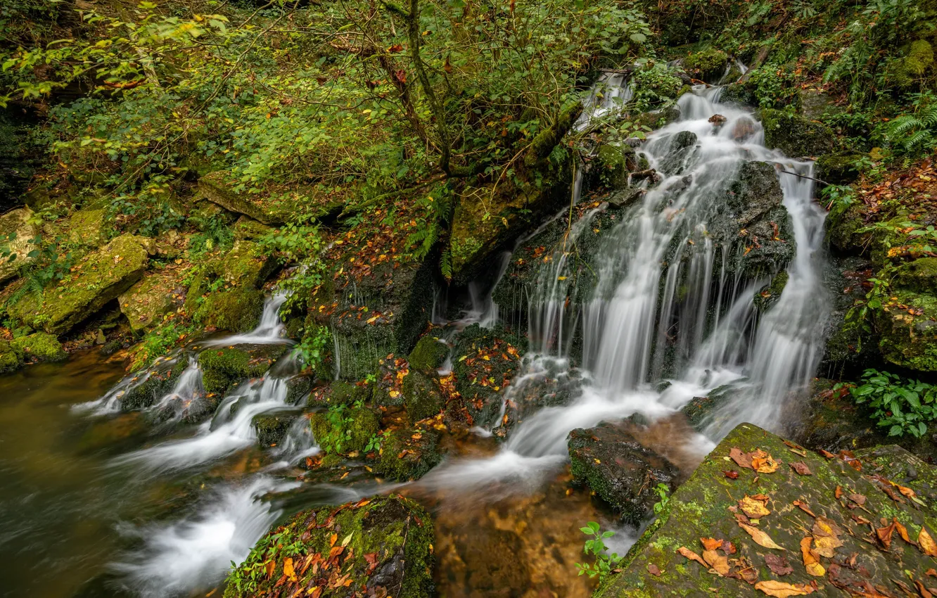 Photo wallpaper autumn, forest, waterfall, cascade, Tn