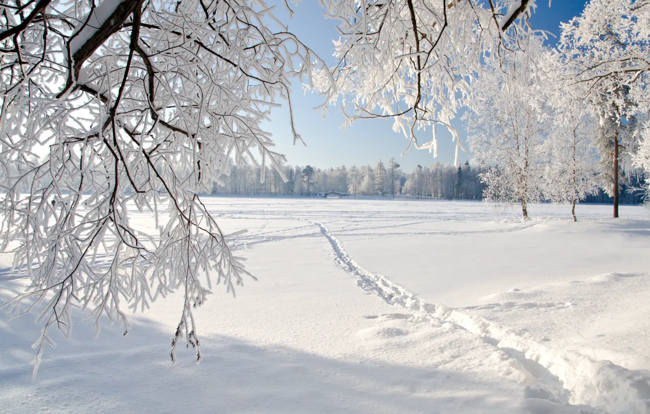 Photo wallpaper ice, winter, landscape, nature, ice, landscape, nature, winter