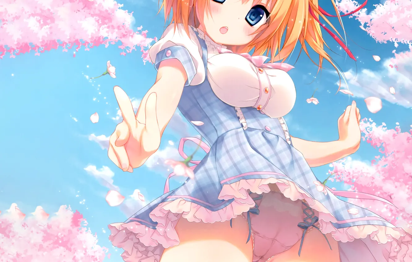 Photo wallpaper girl, sexy, lingerie, Cameltoe, panties, thighhighs, dress, boobs