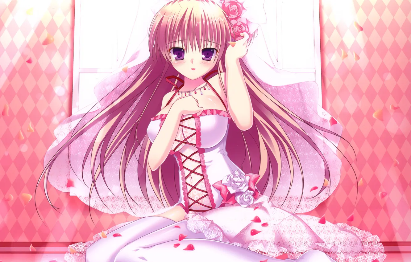 Photo wallpaper petals, dress, window, art, girl, the bride, veil, sitting