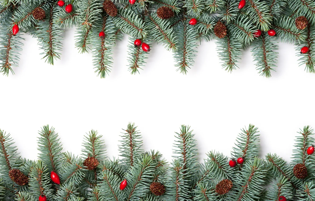 Photo wallpaper branches, berries, tree, bumps