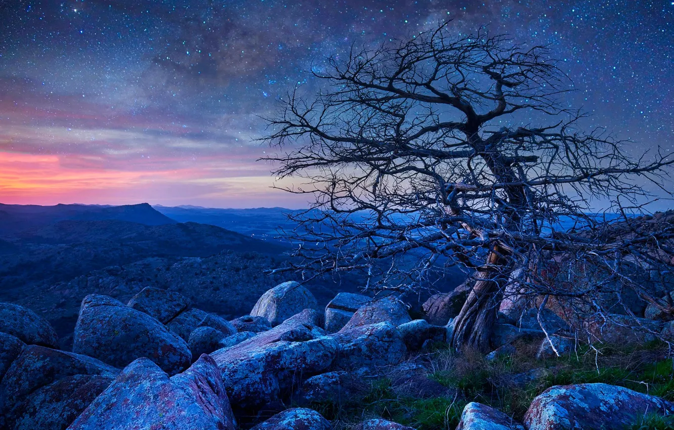 Photo wallpaper stars, mountains, night, stones, tree, rocks