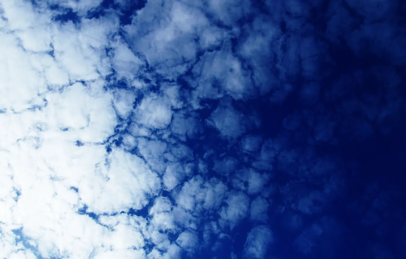 Photo wallpaper white, the sky, clouds, blue, blue, Oblacno