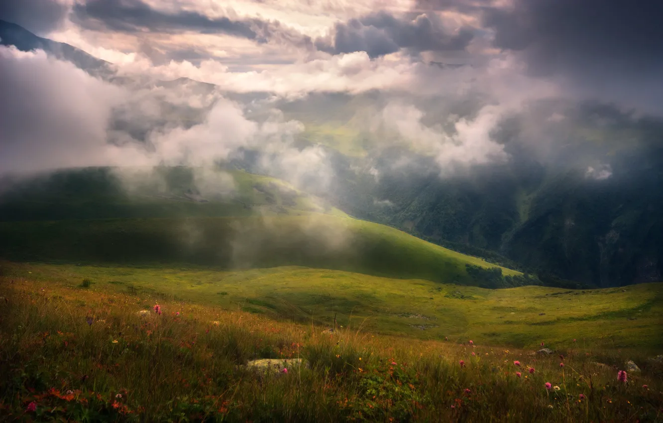 Photo wallpaper clouds, flowers, mountains, nature, fog