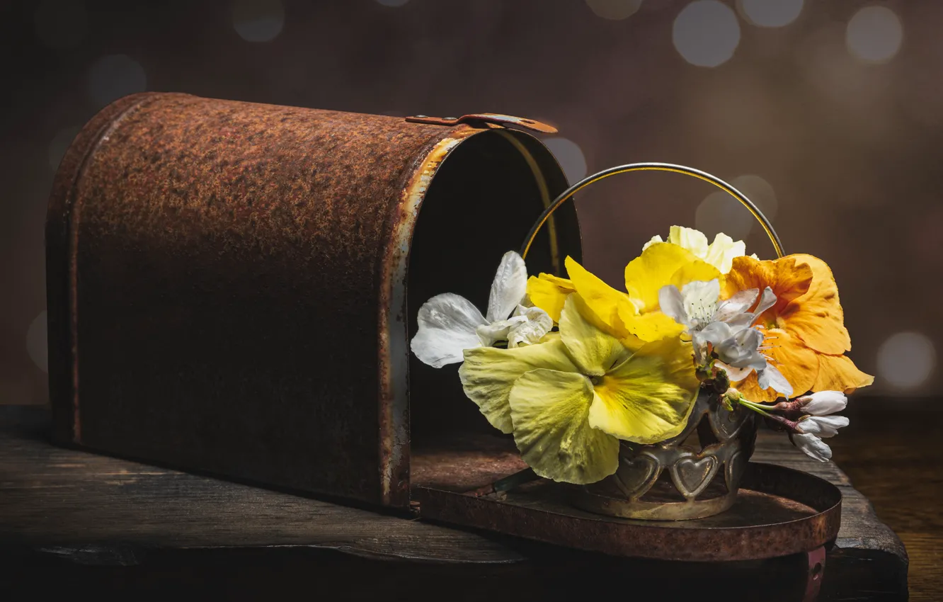 Photo wallpaper flowers, bouquet, Pansy, viola