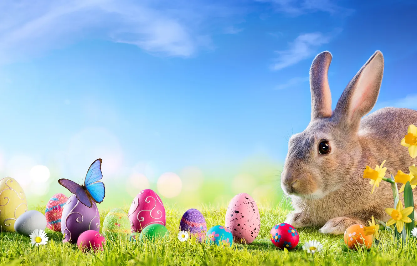 Photo wallpaper flowers, eggs, spring, colorful, Easter, flowers, spring, Easter