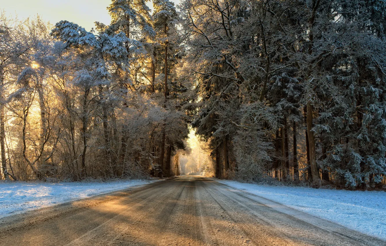 Photo wallpaper winter, road, forest, morning