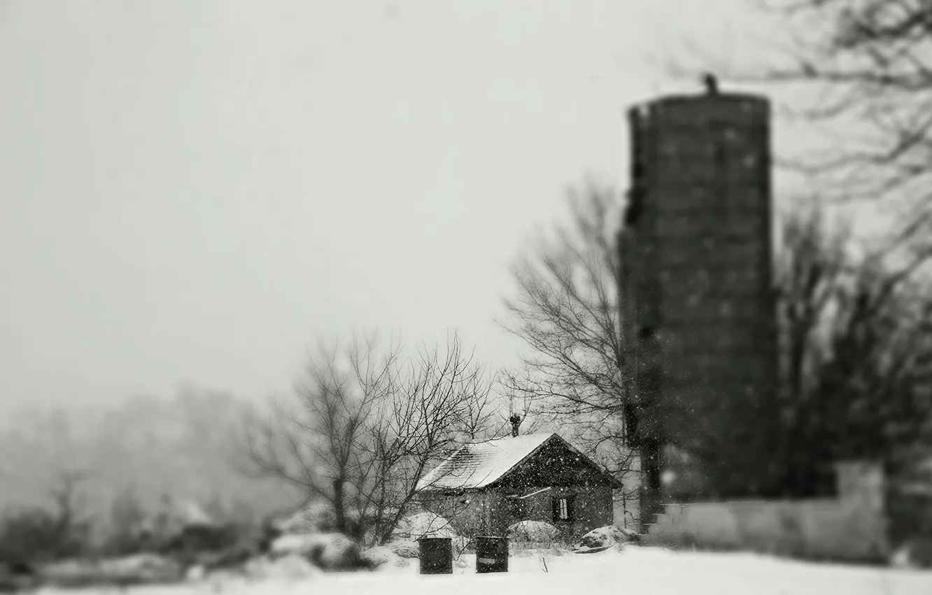 Photo wallpaper winter, snow, trees, branches, home, the barn, farm, the gray sky