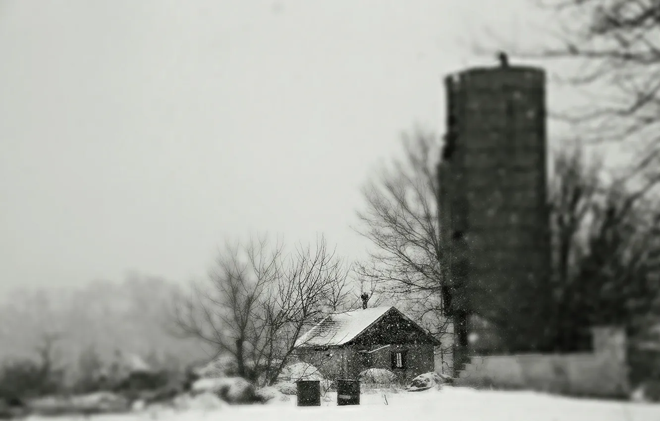 Photo wallpaper winter, snow, trees, branches, house, the barn, farm, the gray sky